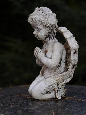 Nichts ist so sicher wie der Tod Tod