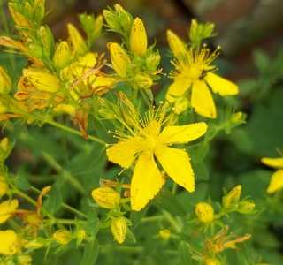 Vorteile der Depression