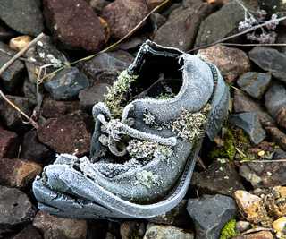 Depression Lebenserwartung