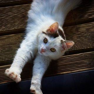 PMR bei Depression, progressive muskelentspannung, progressive muskelrelaxation nach jacobson