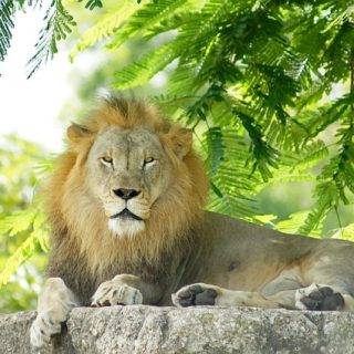 Depression und Selbstbewusstsein