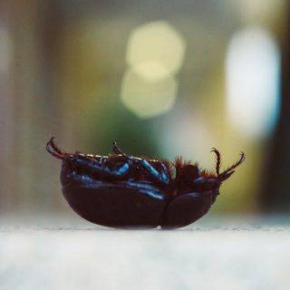 Hilflosigkeit, hilflos fühlen, Ohnmacht, selbstwirksamkeit